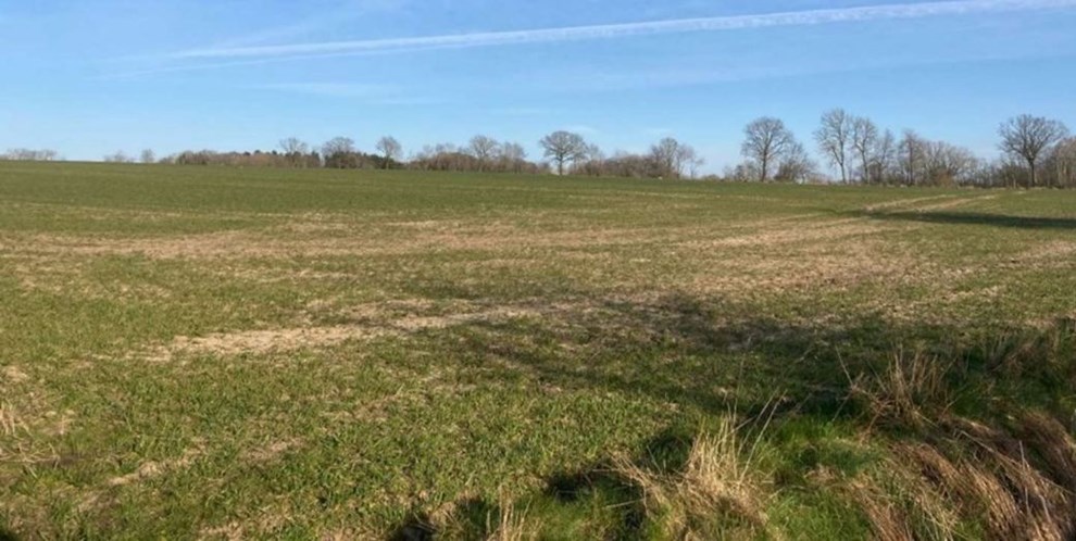 Vandvrk: De har lbet om hjrner med os