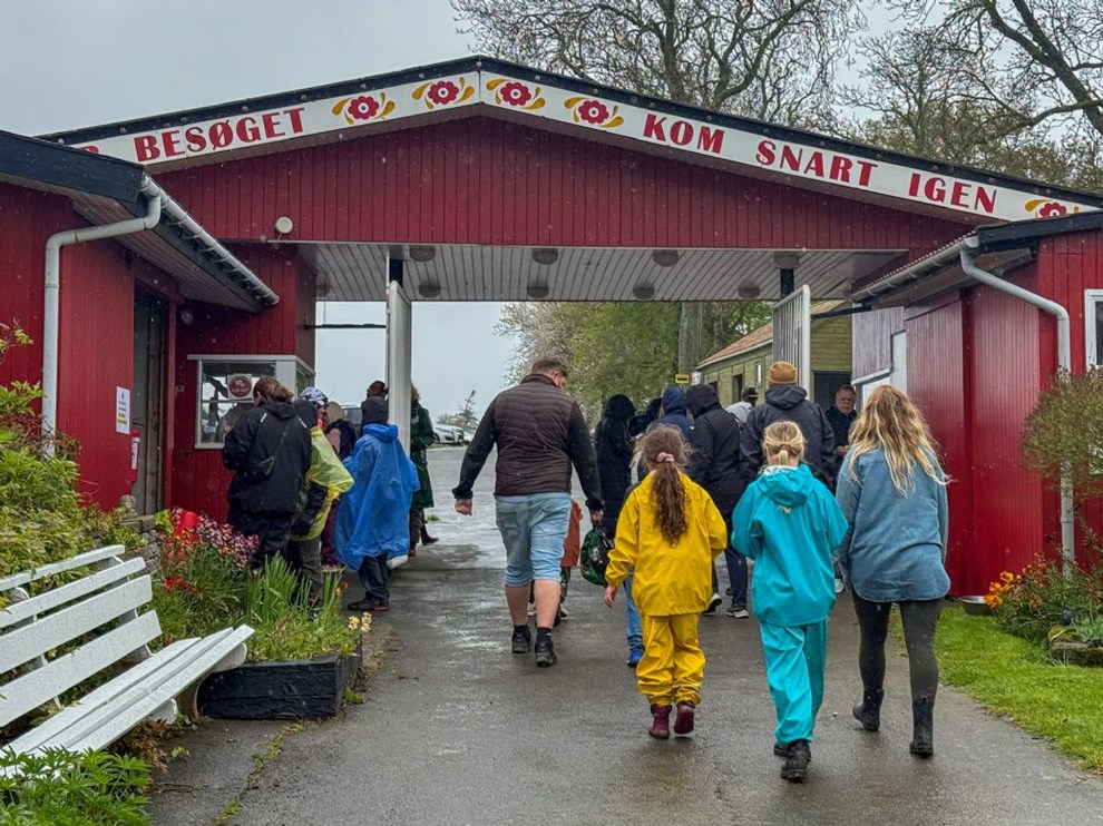 Endelig regn - men hvorfor lige i dag?