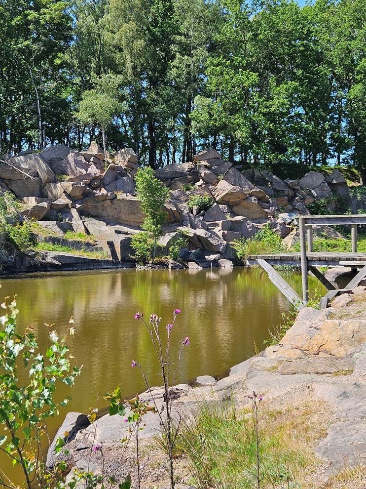 Dagens billede: Bjergebakke Stenbrud