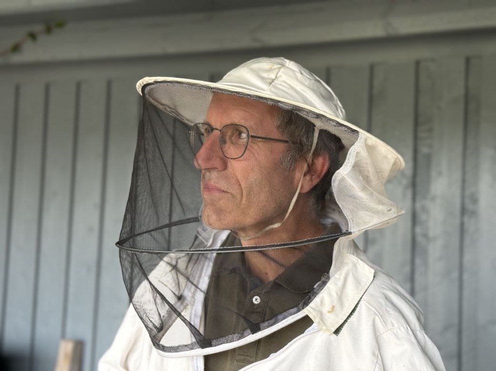 Hvepsedrama i Rønne Hvepsedrama i Rønne