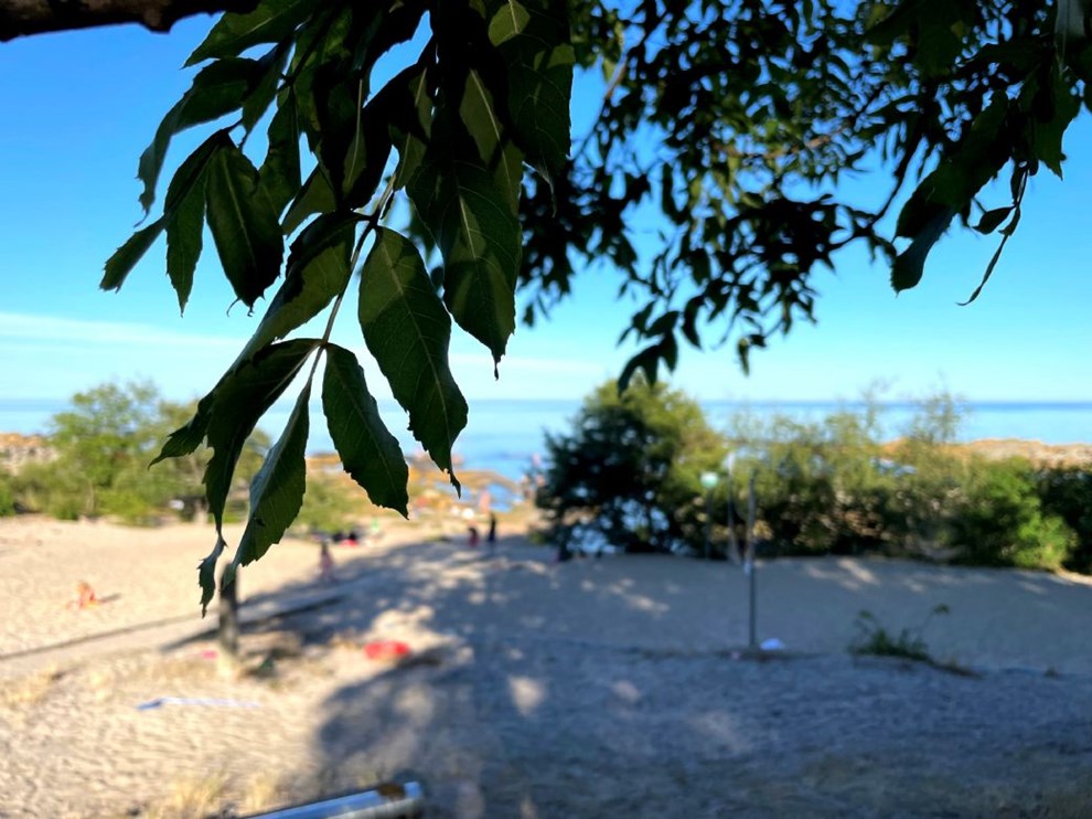 Efterlyst: Mand fotograferede ngne brn