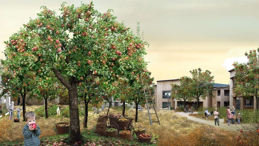 Firma som skal opføre 96 boliger i Rønne får hård kritik: Fugerne falder ud Firma som skal opføre 96 boliger i Rønne får hård kritik: Fugerne falder ud