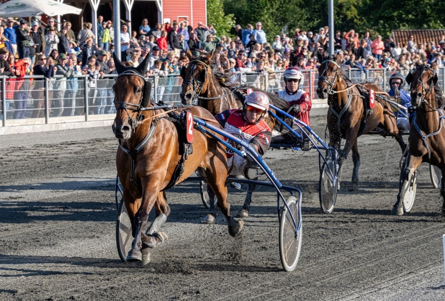 Fire heste fr ny kusk i BM-finalen