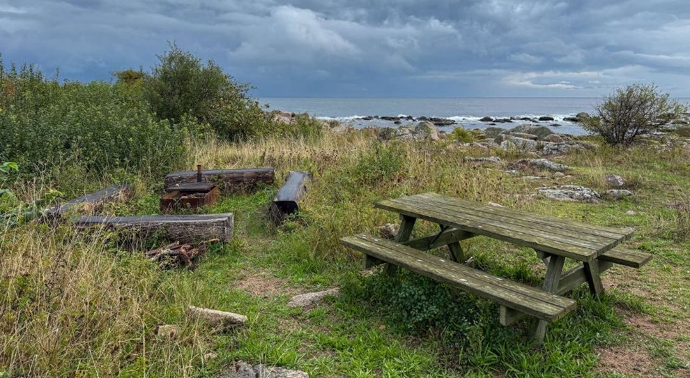 Aarsdale kommer vandrere til unds�tning