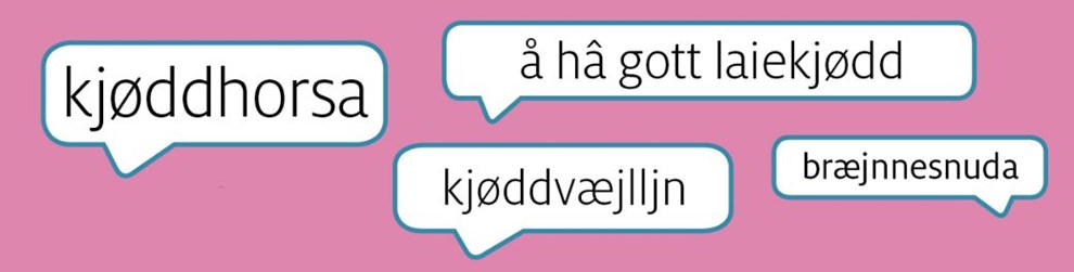 Kj�ddhorser � kj�ddred spr�g