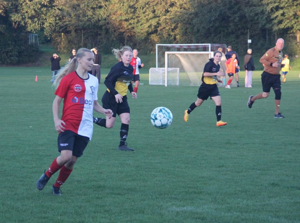 AaIF topper Køleligaen AaIF topper Køleligaen