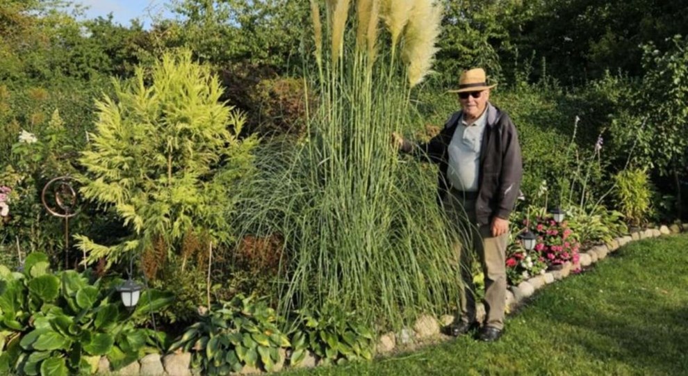 Postbuddet var et havemenneske Postbuddet var et havemenneske