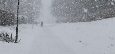 Snevejr sætter Bofas nye system på prøve