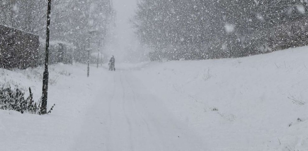 Affaldssystem p� stor pr�ve i Hasle