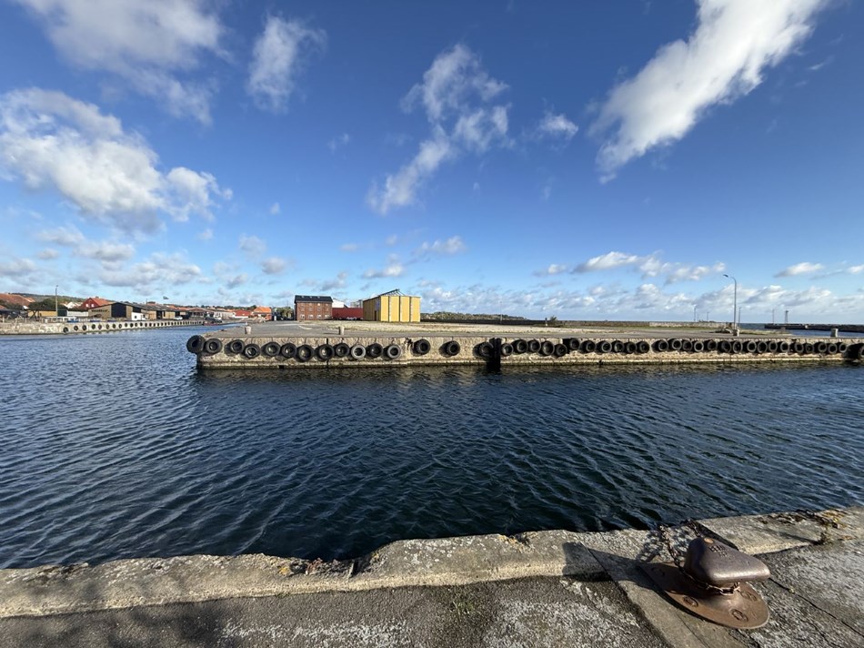 Stort projekt i Nexø deler vandene: 'Det er nu, vi skal på banen'