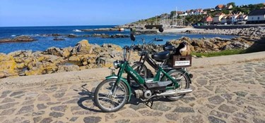 Den hurtige knallert på havnen er velkommen