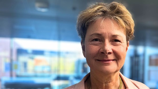 Hospitalsdirekt�r stopper