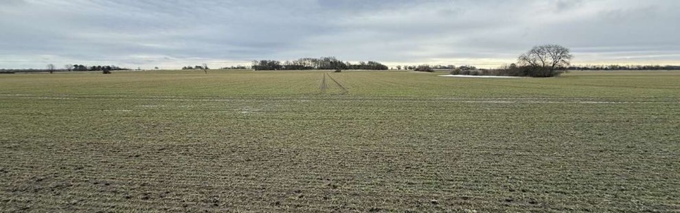 Smider millioner efter lodsejere: Flere handler på vej Smider millioner efter lodsejere: Flere handler på vej