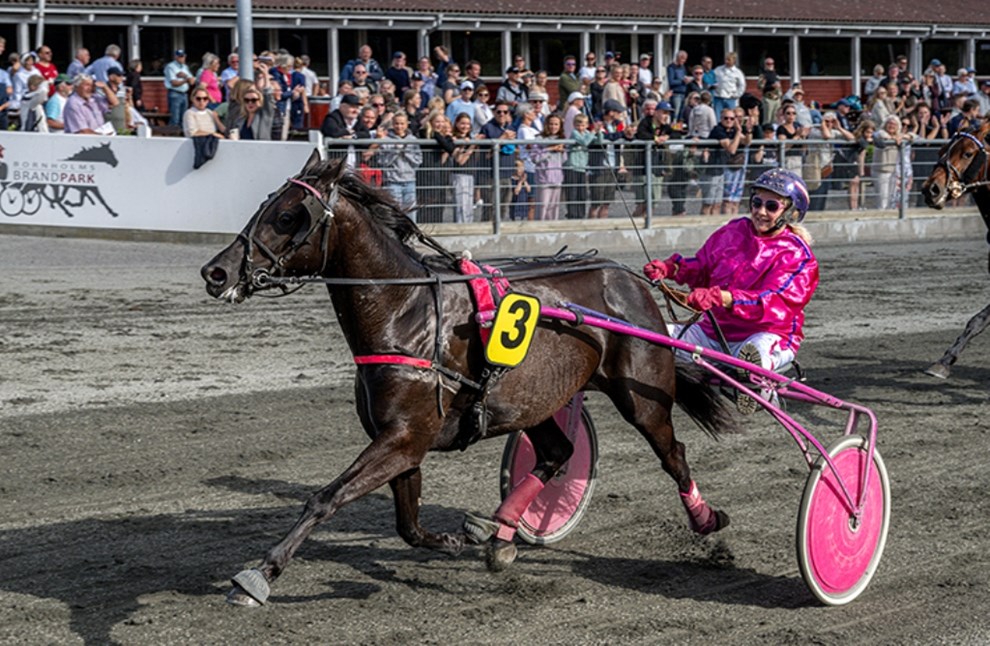 Alvorligt styrt p� travbanen