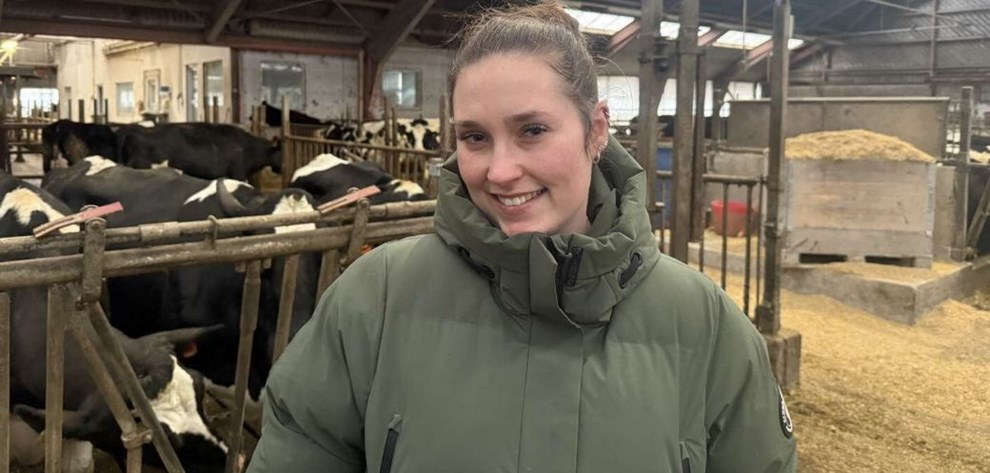 Landbrug leverer enormt overskud