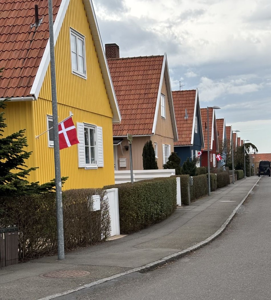 Flag ved svenskehusene