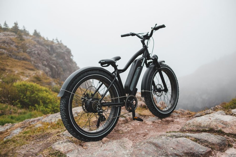 Oplev friheden med en elcykel