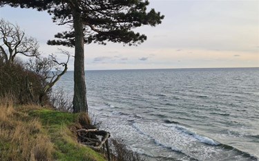 Endnu et sted ramt: Frar�der al badning