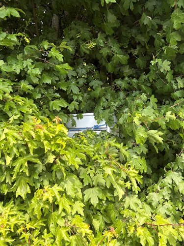 Mange udfordringer med postkasserne: 'Folk bliver sure'