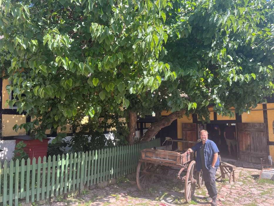 Mysteriet om de bornholmske morb�r