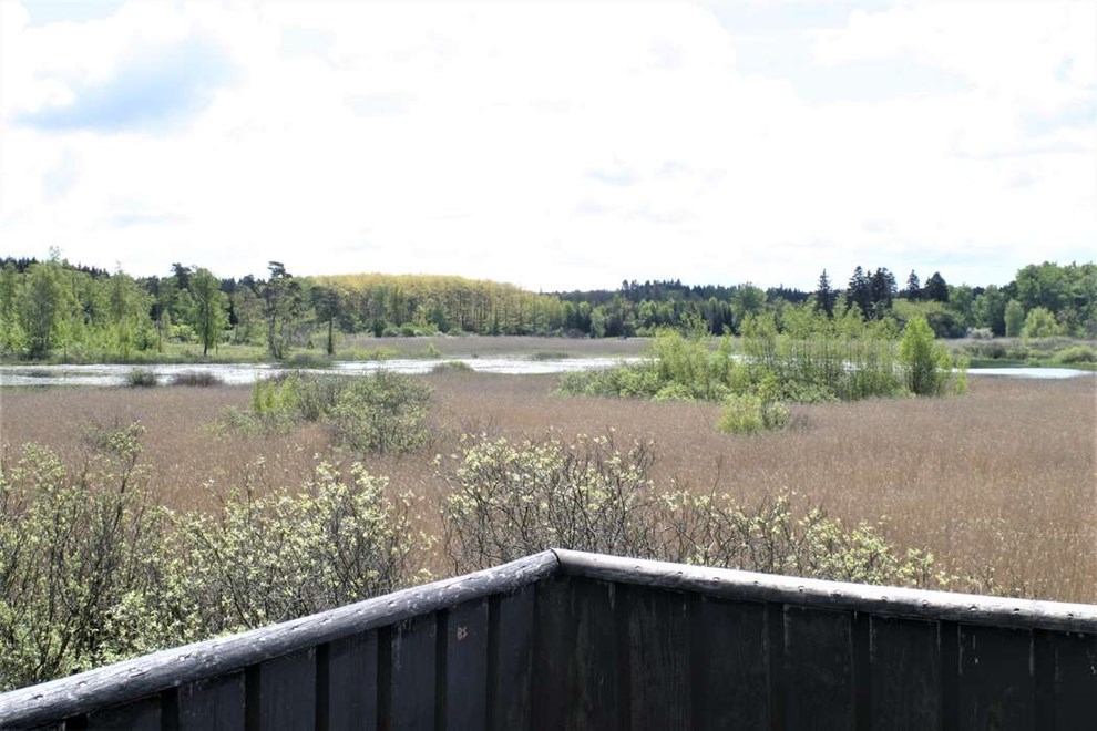 Aftentur til Bastemose med f�rste parket til svalernes natlogi