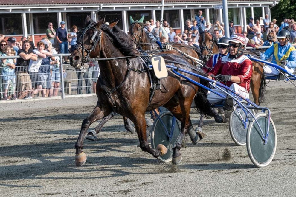 Staldpige har kbt Fenwick 