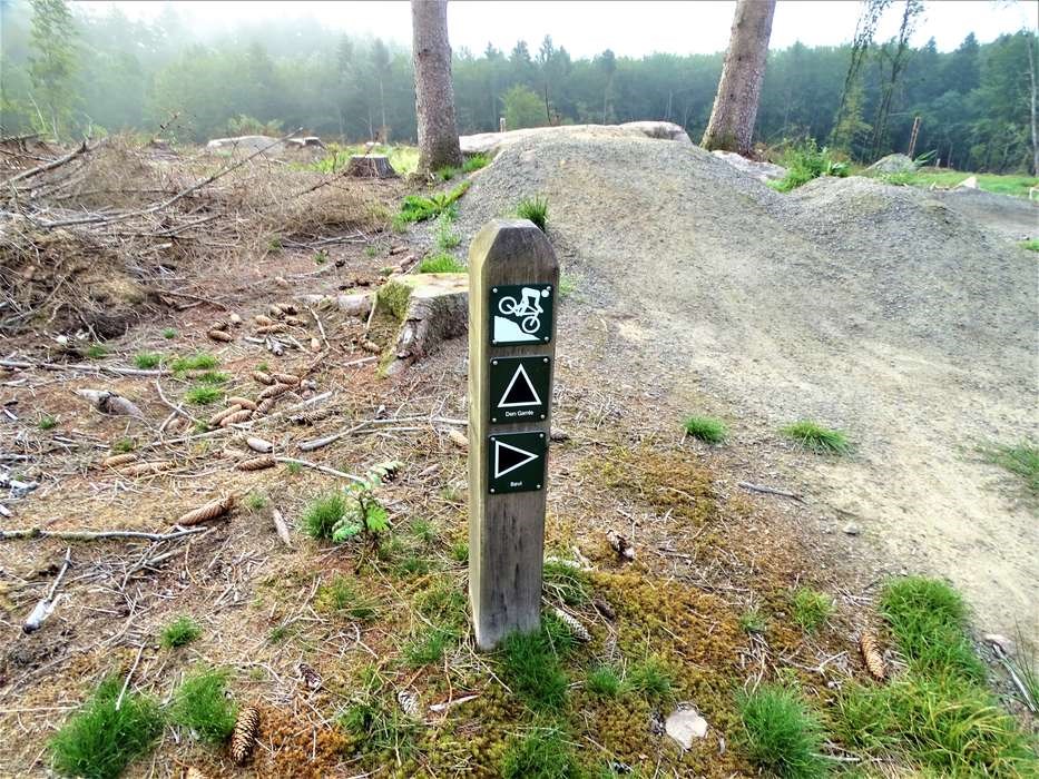 Naturpleje og MTB-spor ved 'Lysthuset' i Almindingen