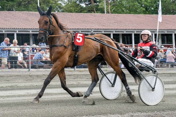 Ni heste i den store finale