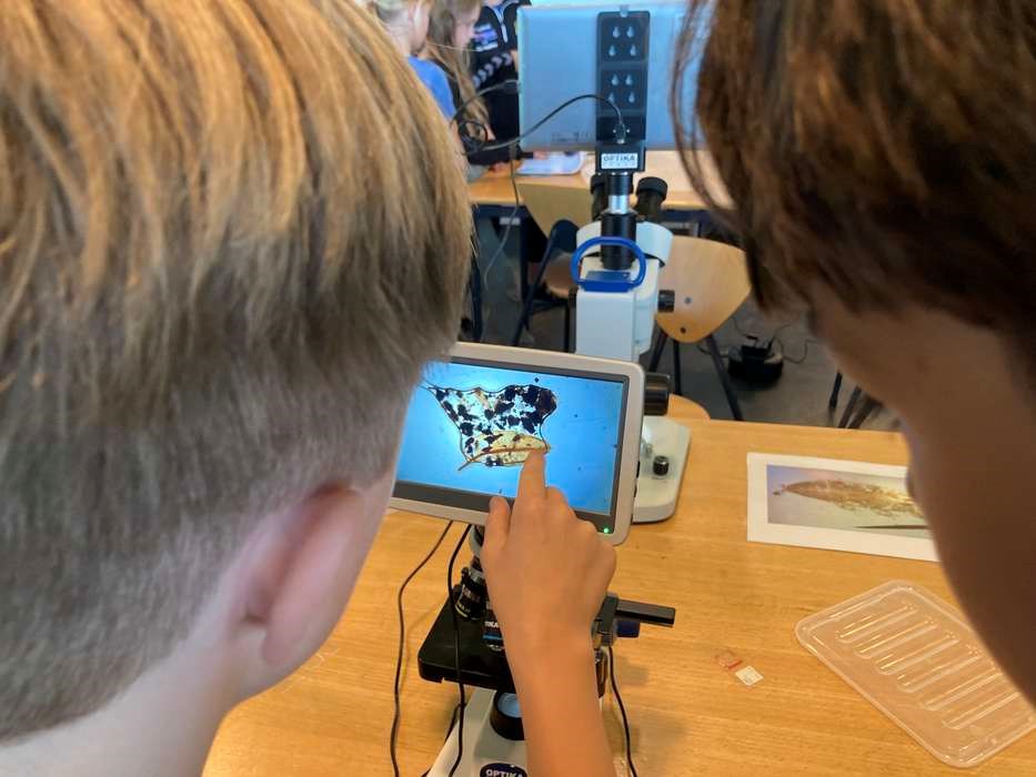 Dyr fra tagrenden kan overleve i rummet