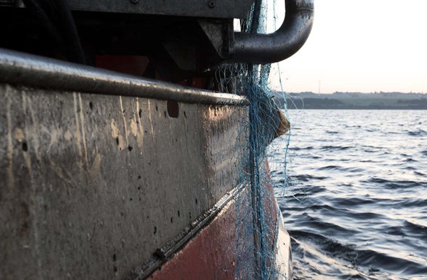Fiskekvoter dr�ner bornholmsk fiskeri