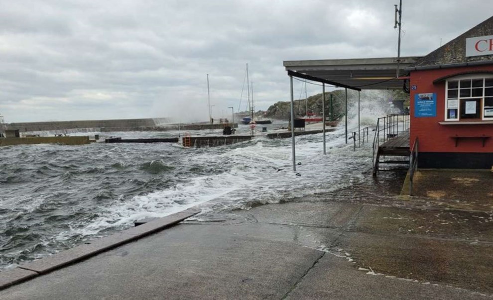 Havnefoged med 25 �r p� havnene: Det sl�r alt, jeg nogensinde har set