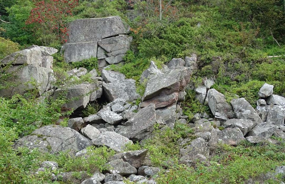 Store stenbrud, flot natur og lysende mos i Ringebakkerne