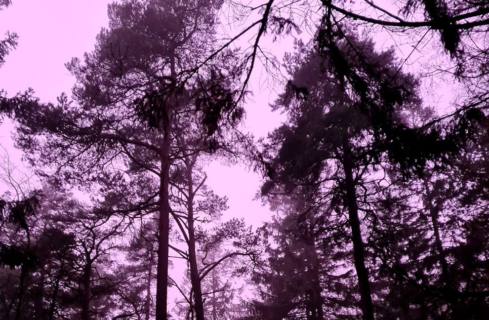 Opklaret: Derfor bliver himlen lilla