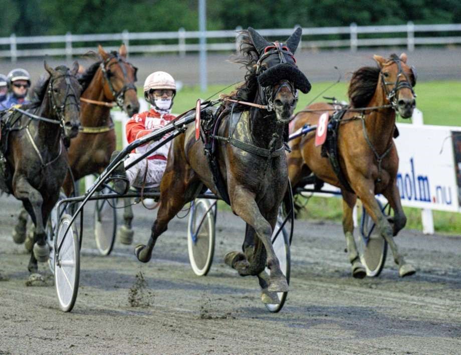 Mads Petersen blev landschampion og skal kre i Paris