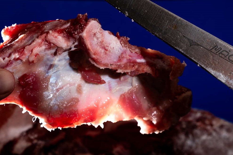 Der var engang en luftt�rret skinke...