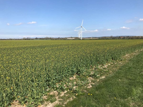 Energinet passer p� grundvandet under energi�en