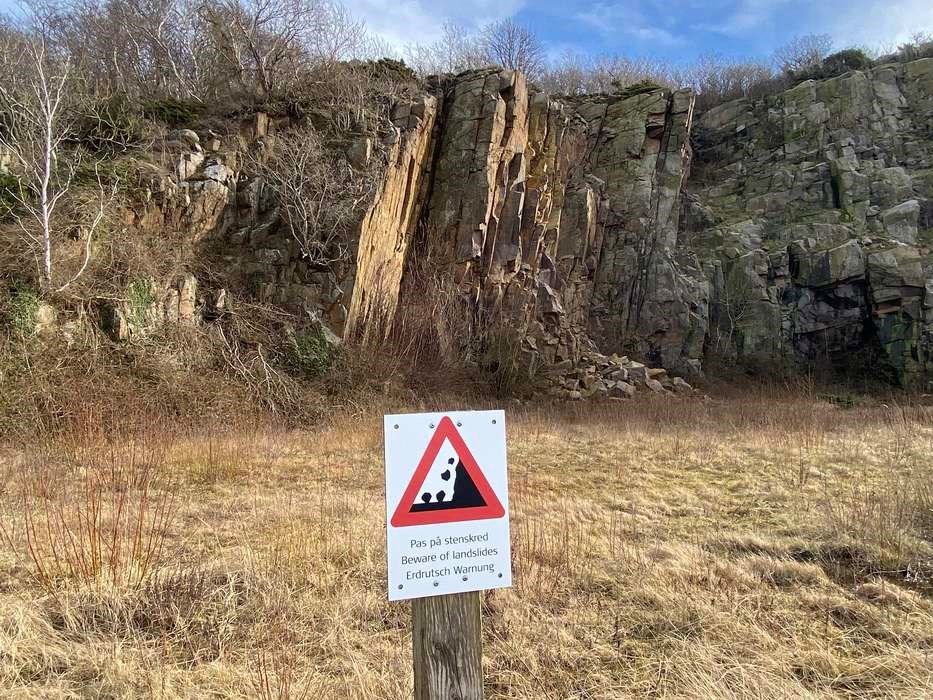 Dagens billede - Vang