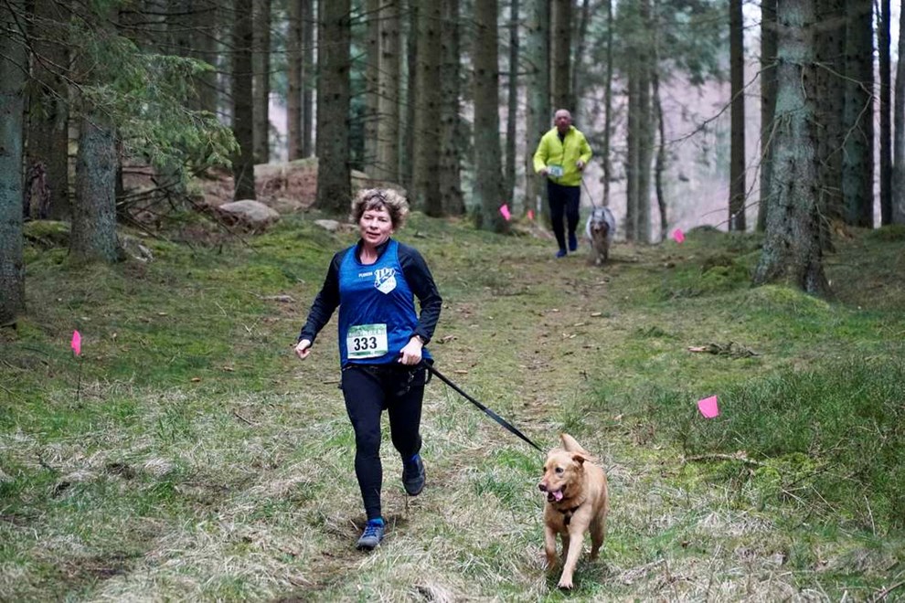 Lbet er bde for folk og f