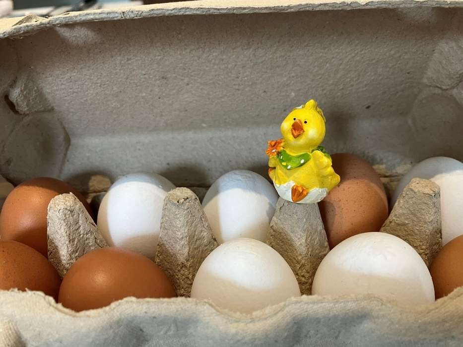 Brn skal lave pskefrokost i Det Levende Kkken