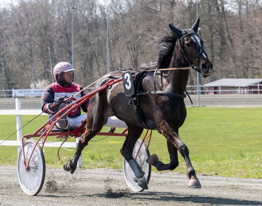 John Gommans udtaget til DM-finale for profer