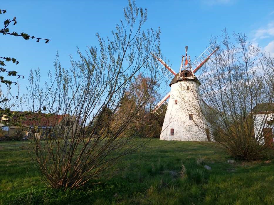 M�lleejere ser frem mod nyt m�lleinstitut