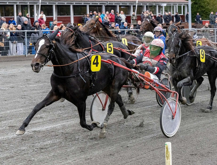 Lind-Holm-heste tjente 284.000 kroner