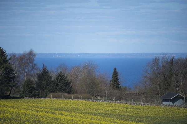 DI Bornholm: Ingen ulemper ved en tunnel
