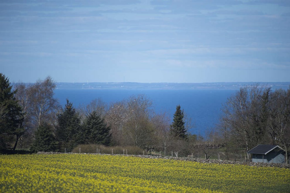DI Bornholm: Ingen ulemper ved en tunnel