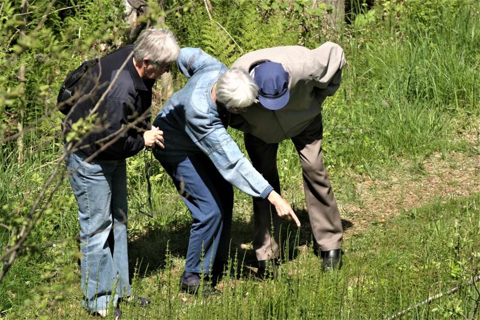 Fr�ernes forunderlige verden