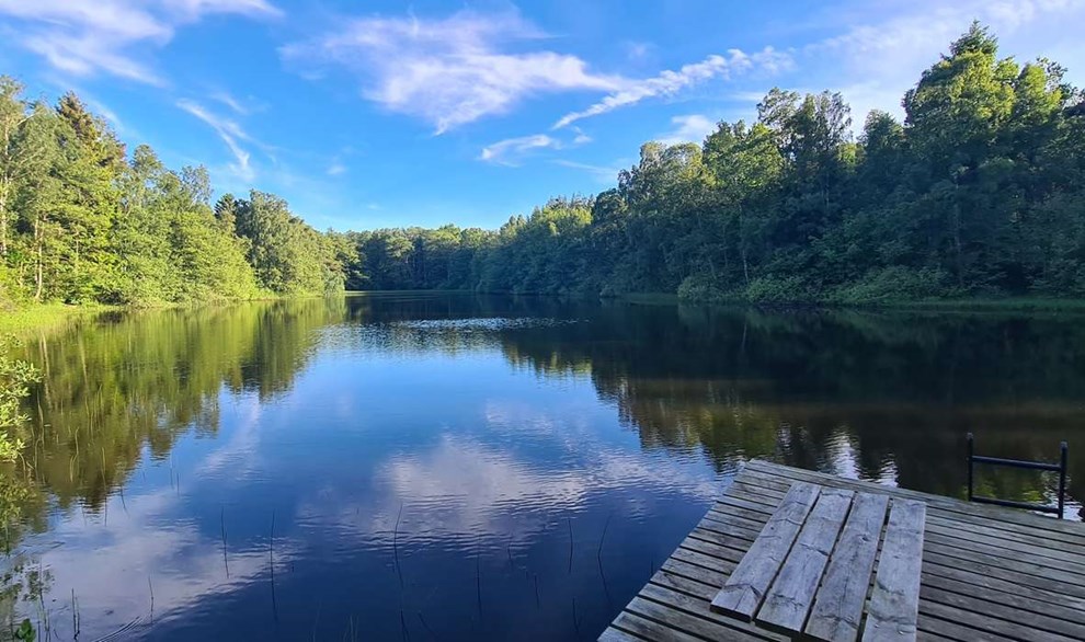 Dagens billede Dagens billede