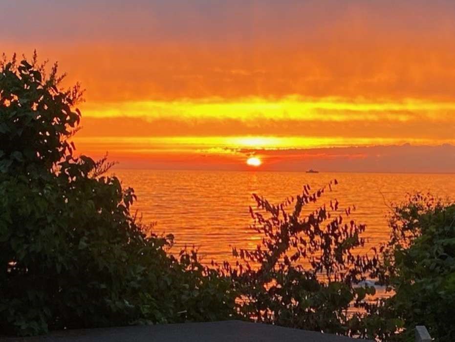 Dagens billede Dagens billede