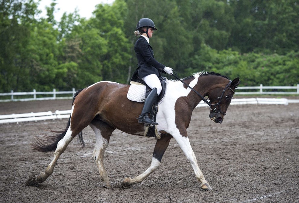 Klub i R� dr�mmer om handicapvenlig bane