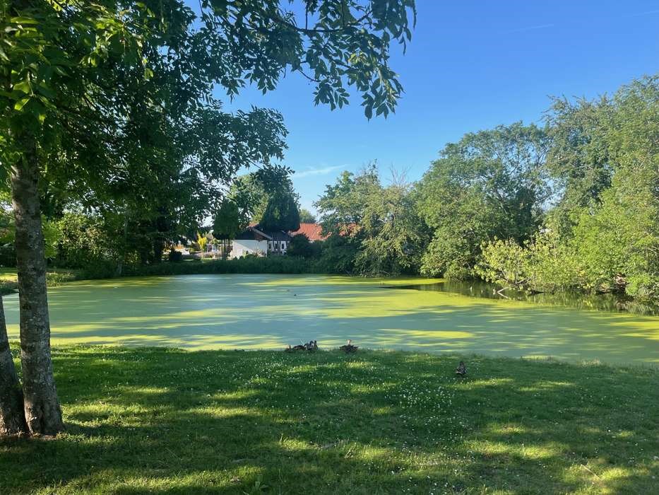 Dagens billede: Naturen har mange farver lige nu