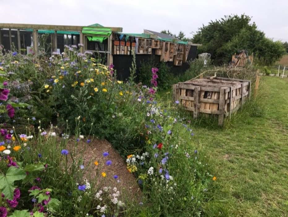 Dagens billede: De nye insekthoteller p� Nex� Skole